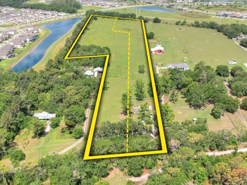Lithia Residential Opportunity : Lithia : Hillsborough County : Florida