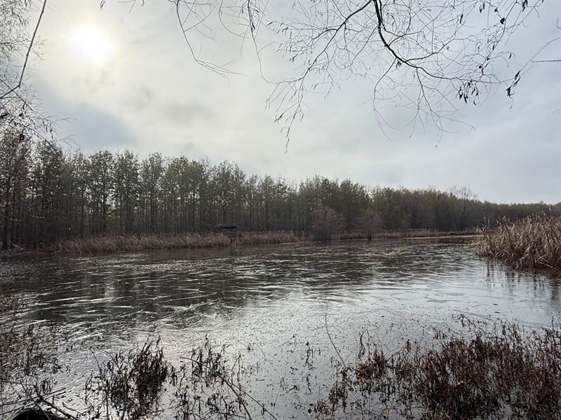 Deer and Duck Hunting Less Than : Earle : Crittenden County : Arkansas