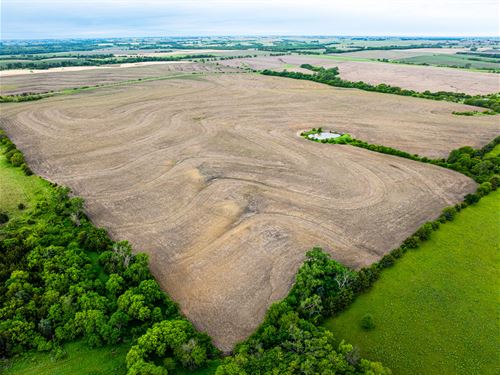 Pawnee County Dryland : Burchard : Pawnee County : Nebraska