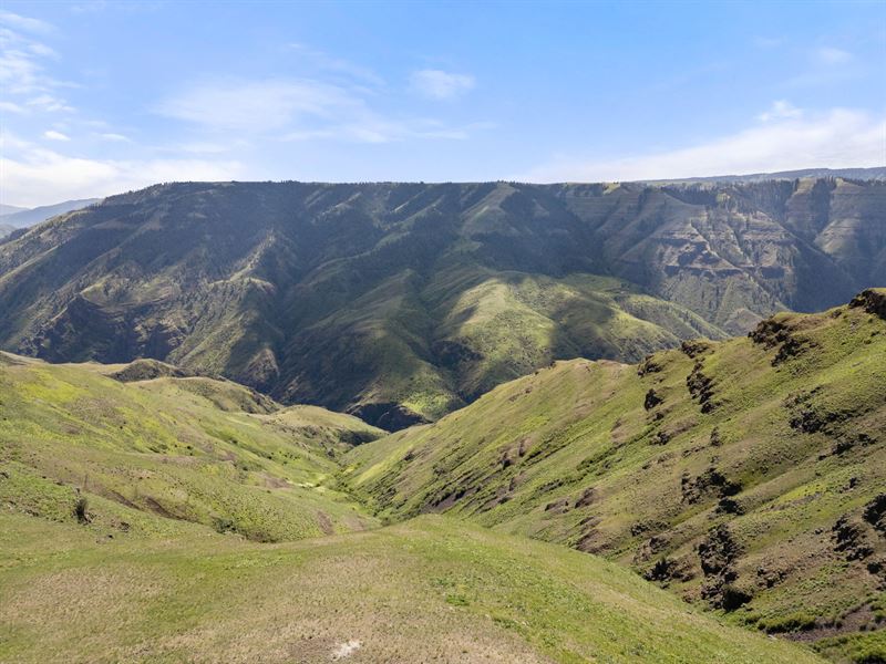 Salmon River Estates Lot 8 : Grangeville : Idaho County : Idaho