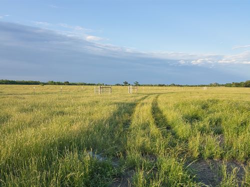 Big Hill 115, Groesbeck Texas : Groesbeck : Limestone County : Texas