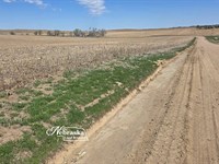 Southern Lincoln County Non-Irrigat : Wellfleet : Lincoln County : Nebraska