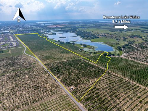 Dundee Lakes Residential Land : Dundee : Polk County : Florida