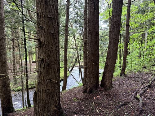 On Five Streams : German : Chenango County : New York