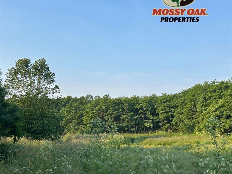Sangamon River 50 : Cisco : Macon County : Illinois
