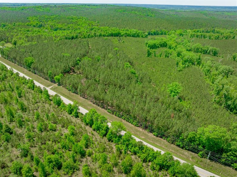 The Harrison River Tract : Ridgeway : Fairfield County : South Carolina