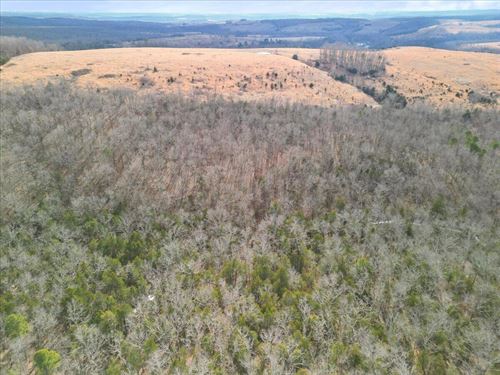 Hunting & Homestead Land : Zanoni : Ozark County : Missouri