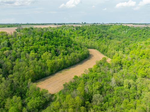 42 Acres Pierce County : Plum City : Pierce County : Wisconsin