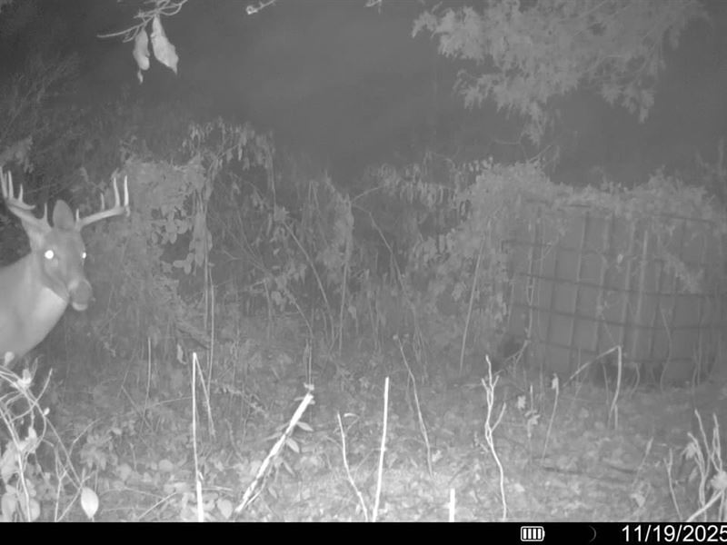 Price Drop, 53.32 Acres of Farm : Crawfordsville : Crittenden County : Arkansas