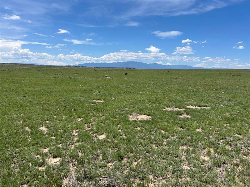 Lot 123E Turkey Ridge Ranch Filing : Walsenburg : Huerfano County : Colorado