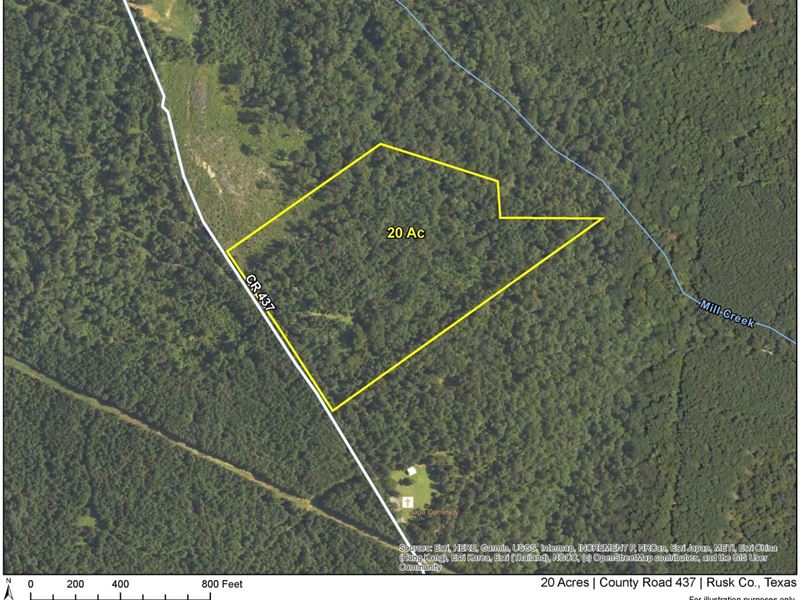 20 Acres, County Road 437 : Laneville : Rusk County : Texas