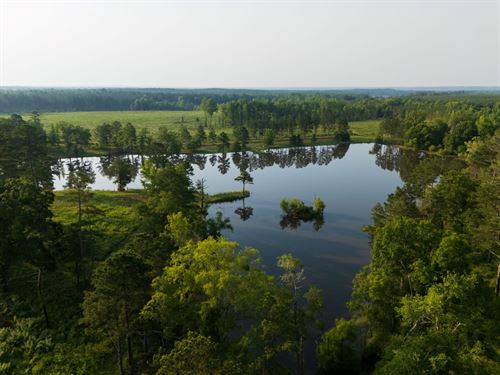 Spring Hill Lakes 3,077 Ac, Barbour : Springhill : Barbour County : Alabama