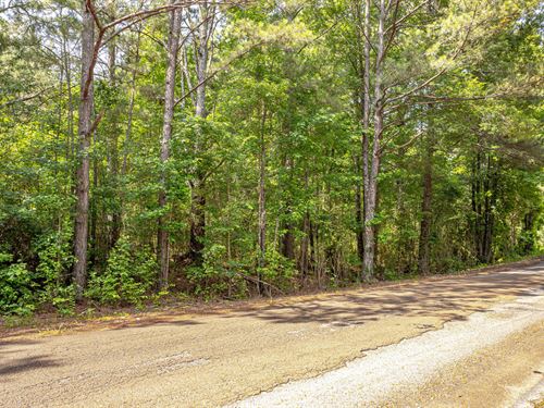 Country Living With Hunting Opportu : Carthage : Leake County : Mississippi