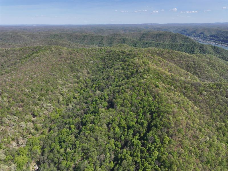 40.79 Acres in Kanawha County WV : Belle : Kanawha County : West Virginia