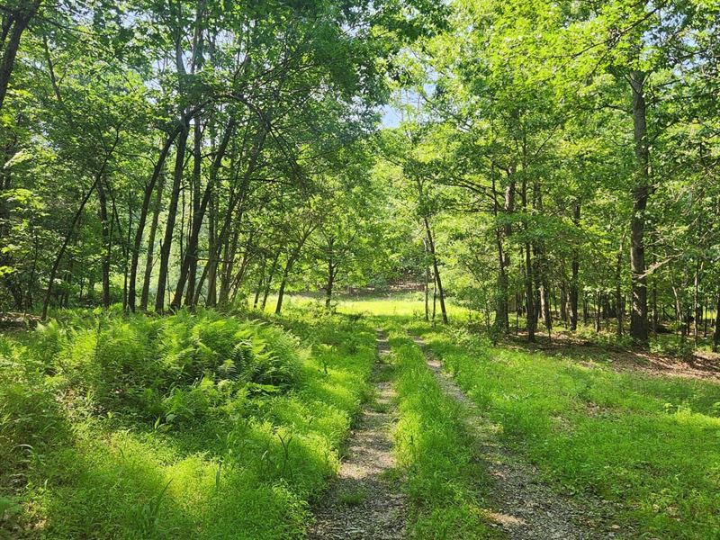 455 Hartman Rd, Centre, Port Mati : Port Matilda : Centre County : Pennsylvania