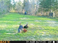 East Tennessee Natural Beauty : Graysville : Sequatchie County : Tennessee