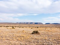 $999 Down Texas Land : Sierra Blanca : Hudspeth County : Texas
