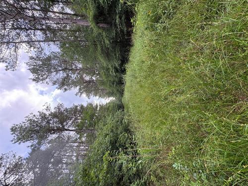 La, Ouachita 80 Acres : Monroe : Ouachita Parish : Louisiana