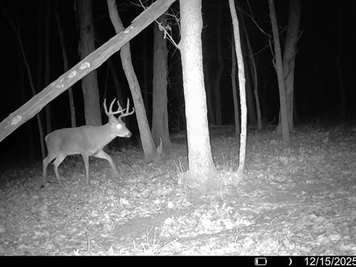 South Wea Creek Retreat : Louisburg : Miami County : Kansas