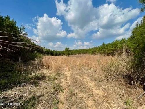 52 Acre Homesite Madison County Cam : Camden : Madison County : Mississippi