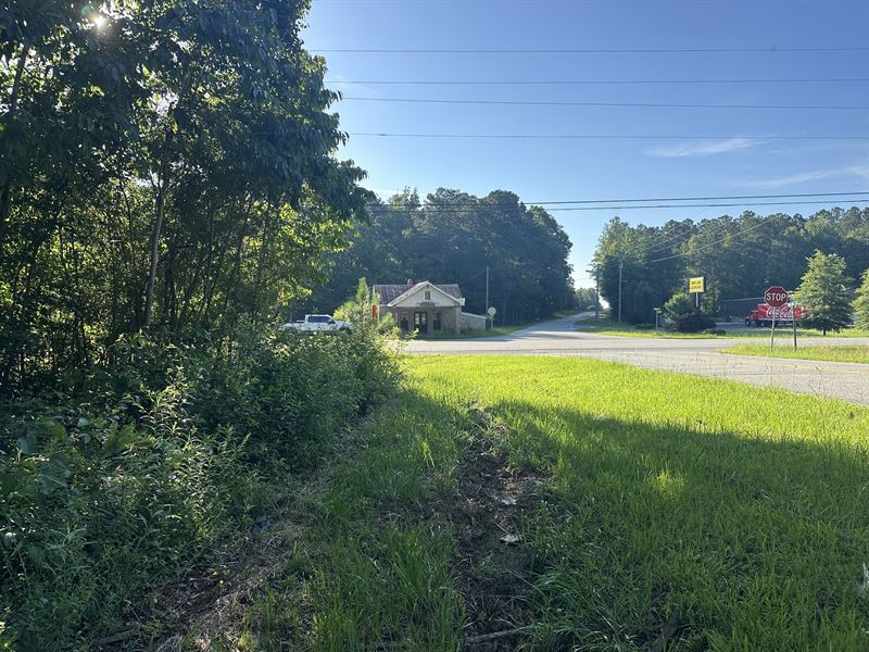Paoli Road Commercial Corner : Carlton : Madison County : Georgia