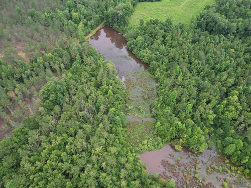 Souwilpa Creek Tract : Silas : Choctaw County : Alabama