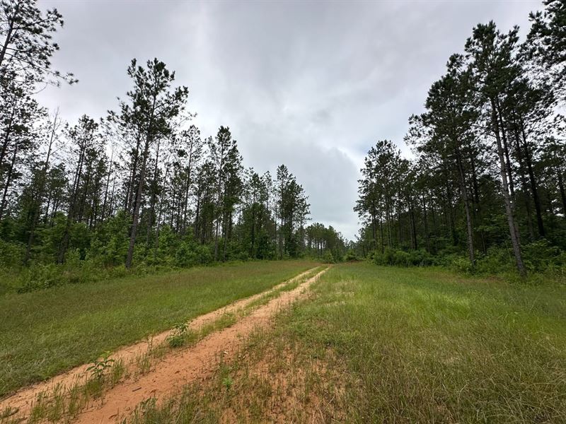 Elmore Co 246 Acres : Equality : Elmore County : Alabama