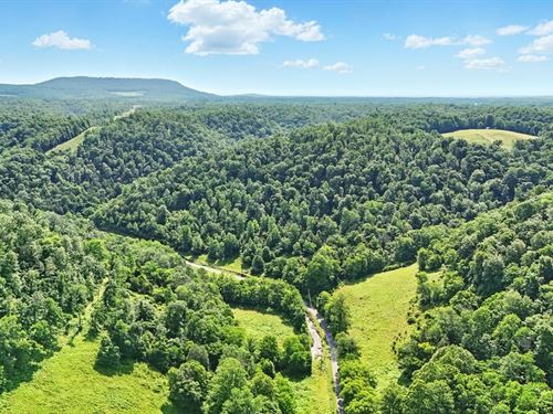 140.3 Acres, Hunting & Recreat : Woodbury : Cannon County : Tennessee