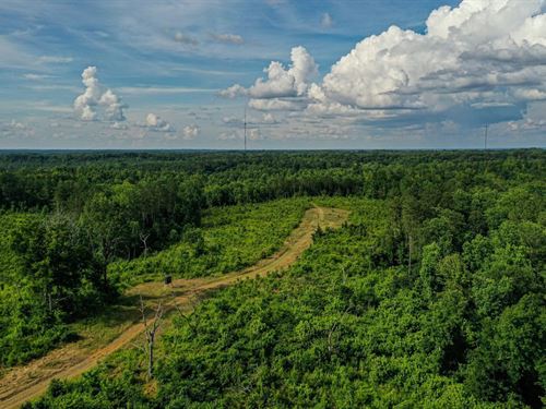 Garrett Creek Loop 190 Acres : Pontotoc : Mississippi