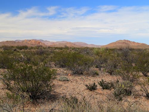 22 Ac Texas Ranch, Only $199/Mo : Dell City : Hudspeth County : Texas