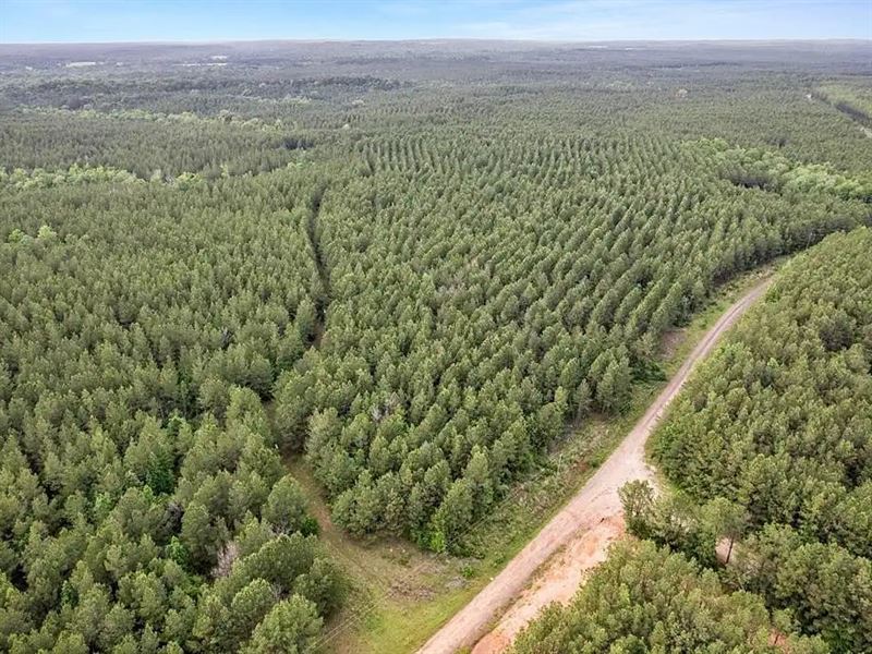 San Augustine TX Lot, Paved Access : San Augustine : San Augustine County : Texas