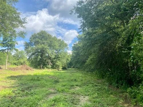 15 Acres On Williams Road, Magnoli : Magnolia : Pike County : Mississippi