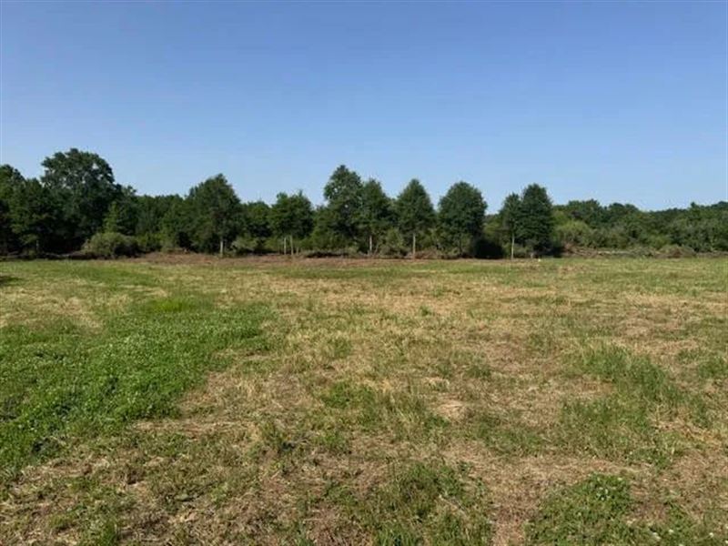 15 Acres Williams Road Magnolia : Magnolia : Pike County : Mississippi