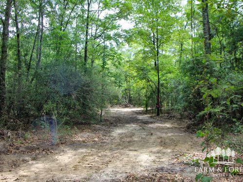 28.5 Ac, Coffee Co, Jack Tract 1 : Jack : Coffee County : Alabama