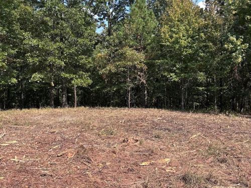 28.48 Acres in Panola County, MS : Batesville : Panola County : Mississippi