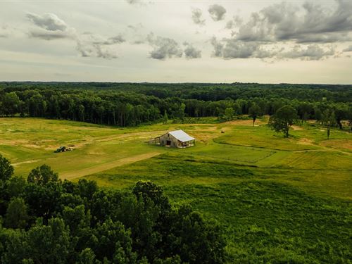 204.9 Acres In Lafayette County, MS : Abbeville : Lafayette County : Mississippi