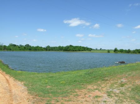 Robertson Catfish Farm : Marion : Perry County : Alabama