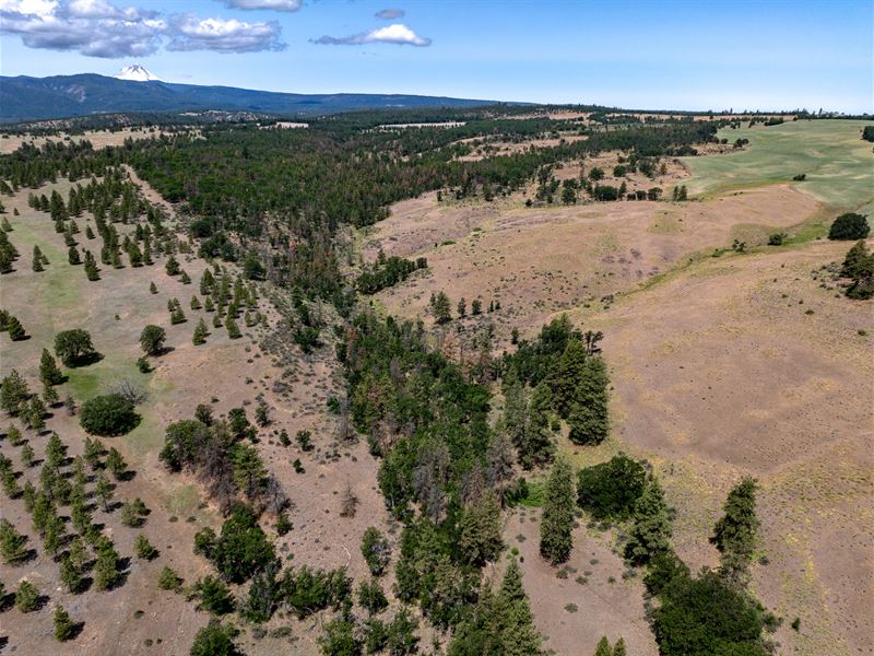 Friend Ranch 687 : Dufur : Wasco County : Oregon