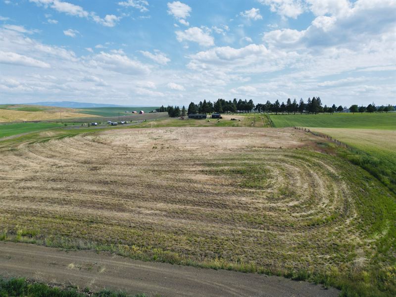 136 Seubert Heights Drive : Cottonwood : Idaho County : Idaho