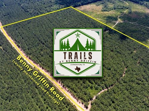 11.79 Acres, T-5, Trails at Benny : Dallardsville : Polk County : Texas