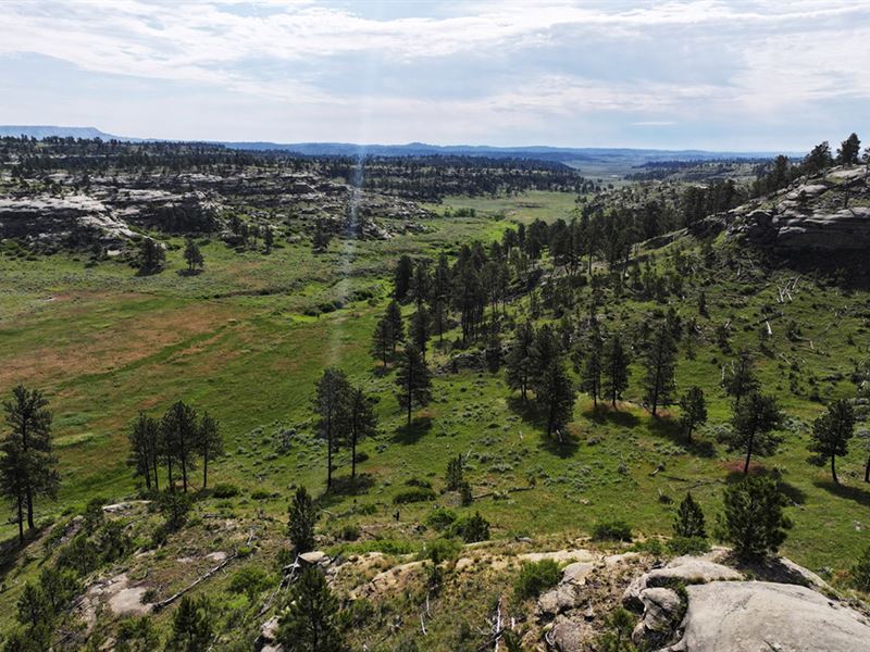 Deer Haven Ranch : Billings : Yellowstone County : Montana