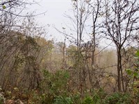 No Credit Check Land, $999 Down : Hyden : Leslie County : Kentucky