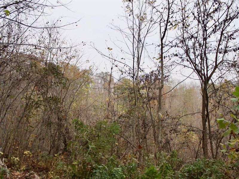 No Credit Check Land/$999 Down : Hyden : Leslie County : Kentucky