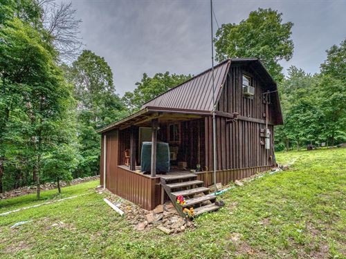 Witts Springs Cabin : Witts Springs : Searcy County : Arkansas
