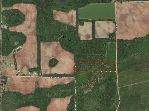 Christmas Road Tract Lot 6 : Campbellton : Jackson County : Florida