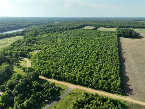 60 Acres Lake Chapin Rd Berrien : Berrien Springs : Berrien County : Michigan