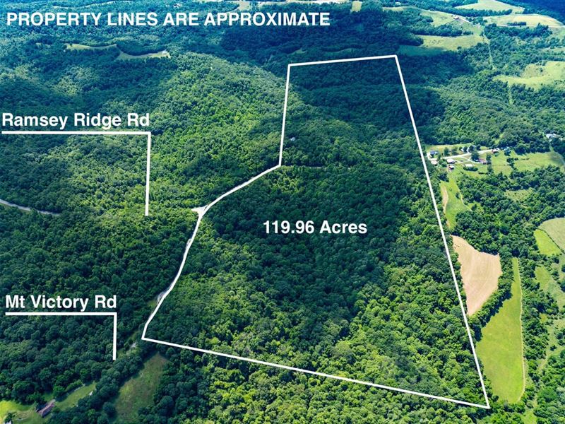 Ramsey Ridge Rd, 119 Acres, Belmo : Jacobsburg : Monroe County : Ohio