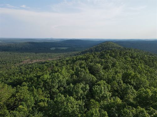 Jett Mountain, 80 Acres in Clay : Ashland : Clay County : Alabama