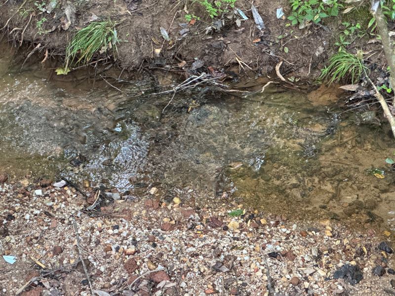 11.42 Acres, Camp Hill, Tallapo : Camp Hill : Tallapoosa County : Alabama