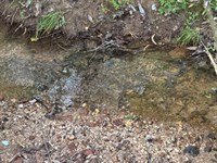 11.42 Acres, Camp Hill, Tallapo : Camp Hill : Tallapoosa County : Alabama